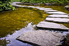stepping-stone-small